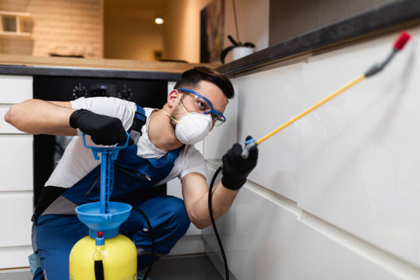 Best Affordable Pest Control Services  in Riverton, UT