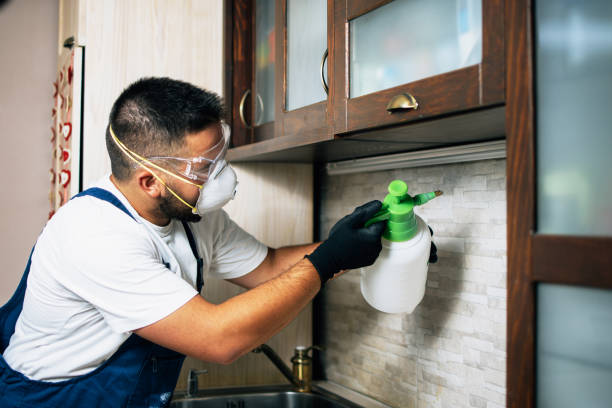 Best Wasp Removal Services  in Riverton, UT