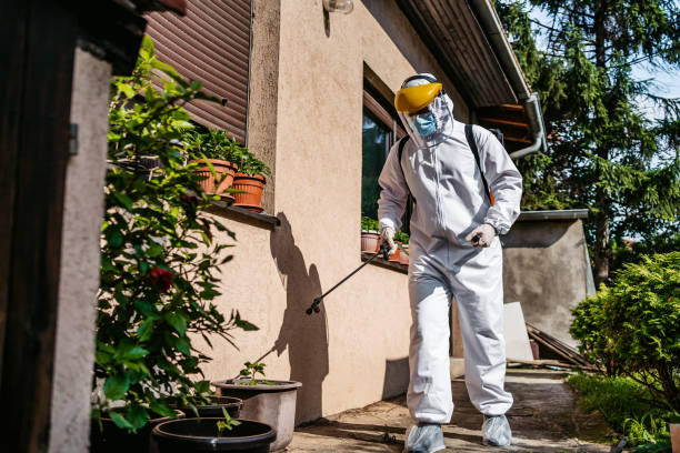 Best Bed Bug Extermination  in Riverton, UT