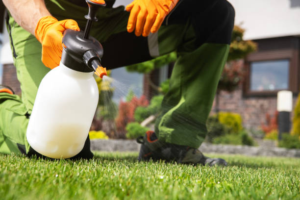 Best Local Pest Control Services  in Riverton, UT