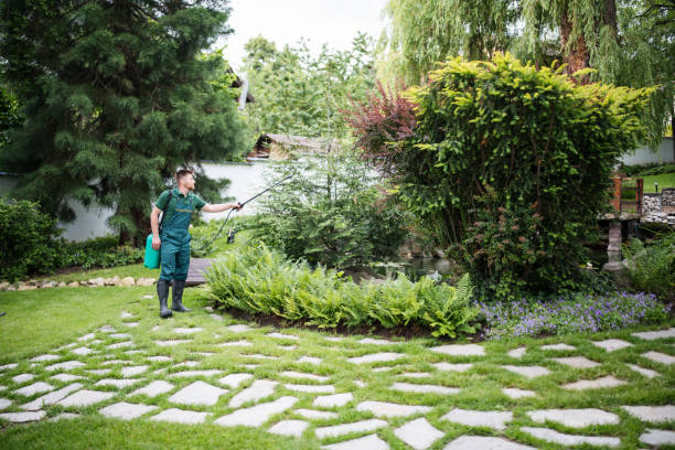 Best Best Pest Control Companies  in Riverton, UT