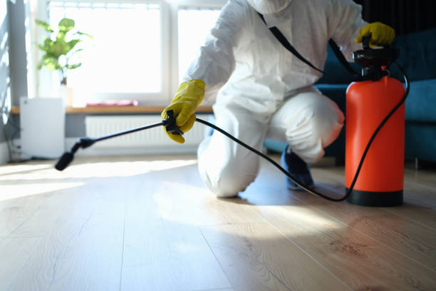 Professional Pest Control in Riverton, UT