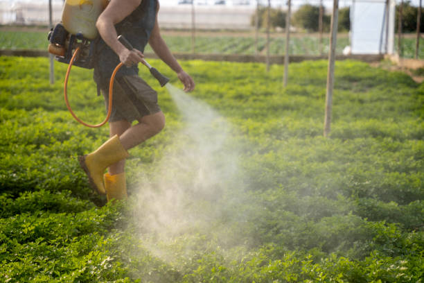 Best Pest Inspection Near Me  in Riverton, UT
