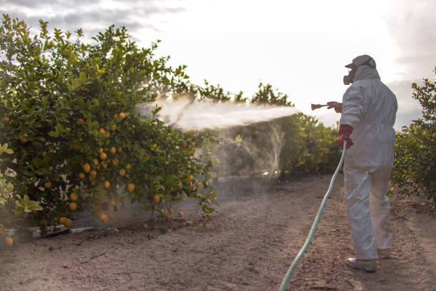 Best Emergency Pest Control  in Riverton, UT