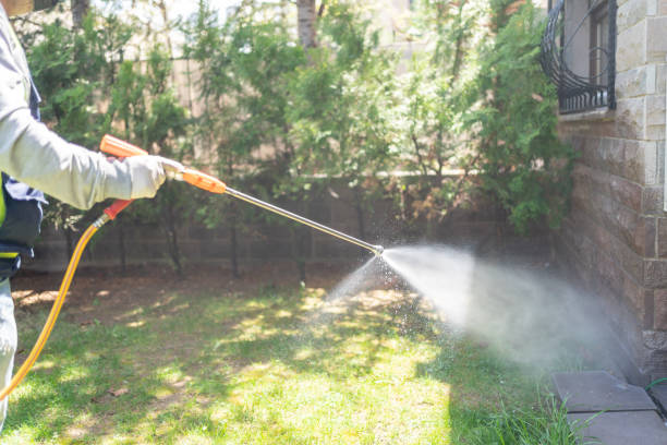 Best Flea Control Services  in Riverton, UT