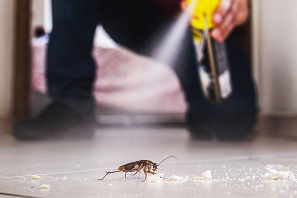 Best Rat Extermination Near Me  in Riverton, UT