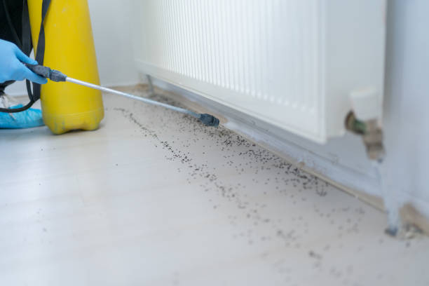 Best Pest Control Cost  in Riverton, UT