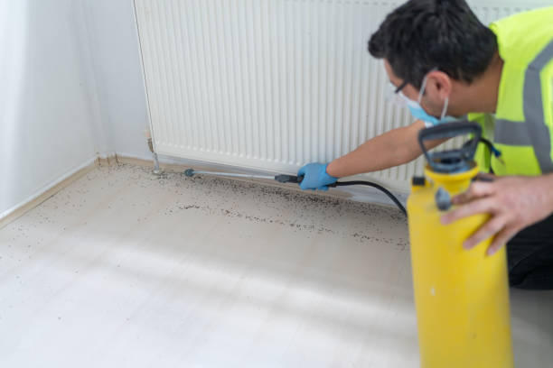 Best Commercial Pest Control Services  in Riverton, UT