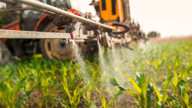 Best Ant Control Services  in Riverton, UT